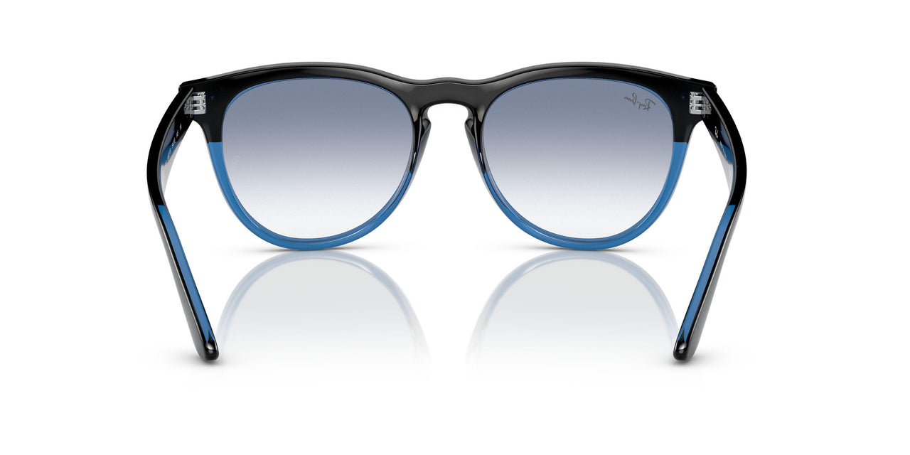 663219 - Black - Clear Gradient Light Blue