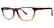 570 - Brown Fade