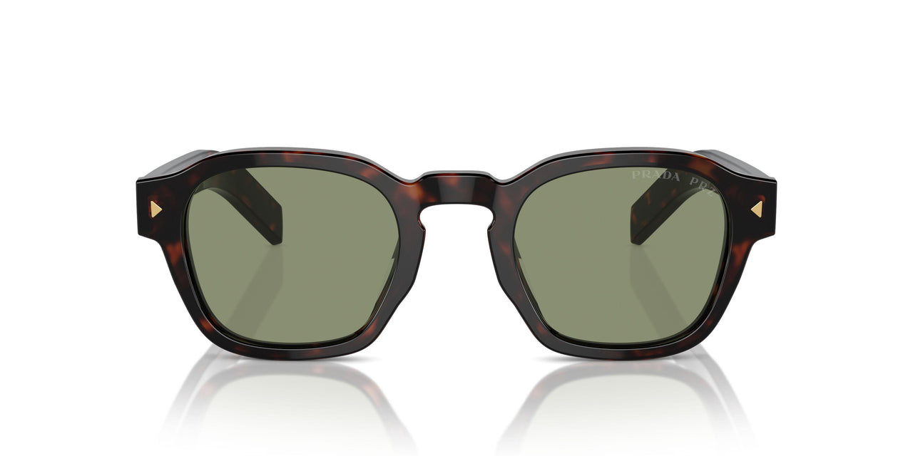 17N20G - Havana - Polarized Green