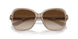 824013 - Brown - Gradient Brown