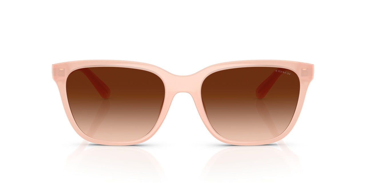 511374 - Pink - Brown Gradient