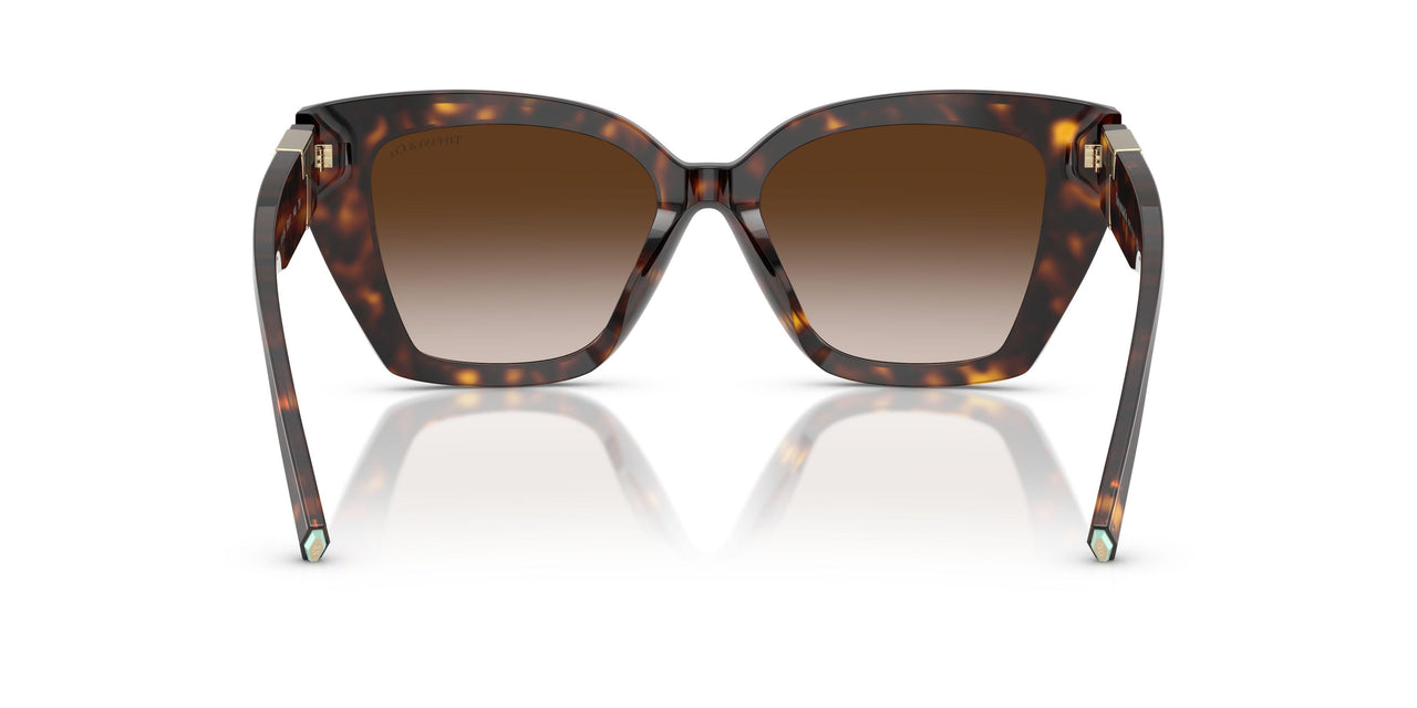 80153B - Tortoise - Brown Gradient