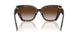 80153B - Tortoise - Brown Gradient