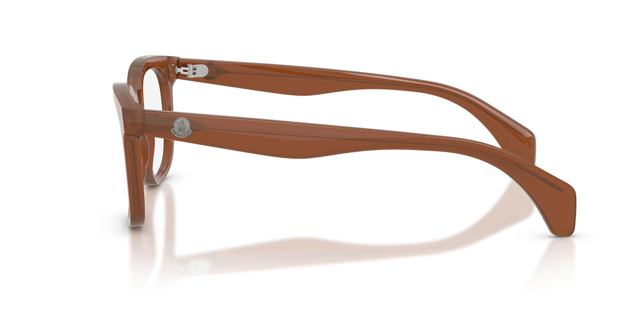 3029 - Brown