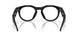 800202 - Black - Transitions Amethyst