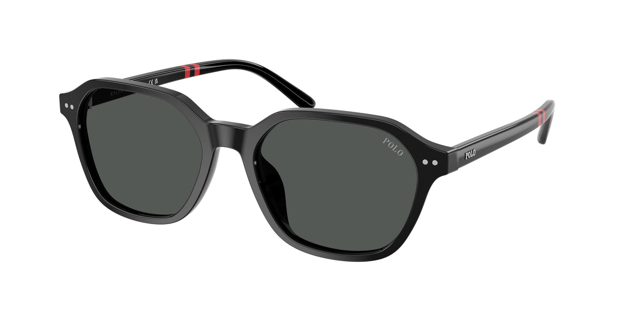Polo 4234U Sunglasses