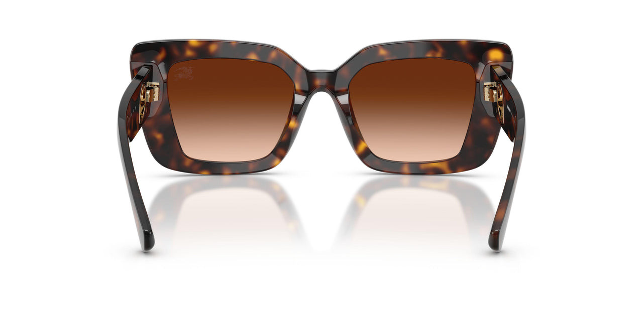 300274 - Brown - Brown Gradient