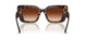 300274 - Brown - Brown Gradient