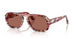 1220H2 - Multicolor - Brown