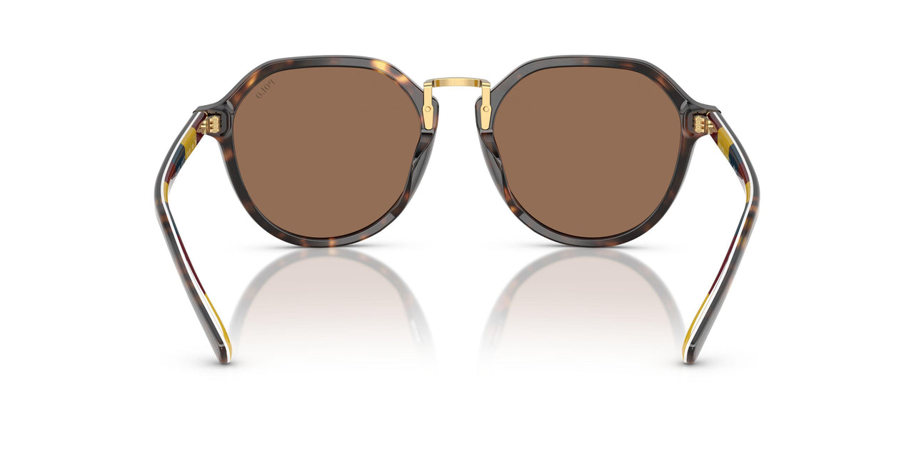 621273 - Tortoise - Dark Brown