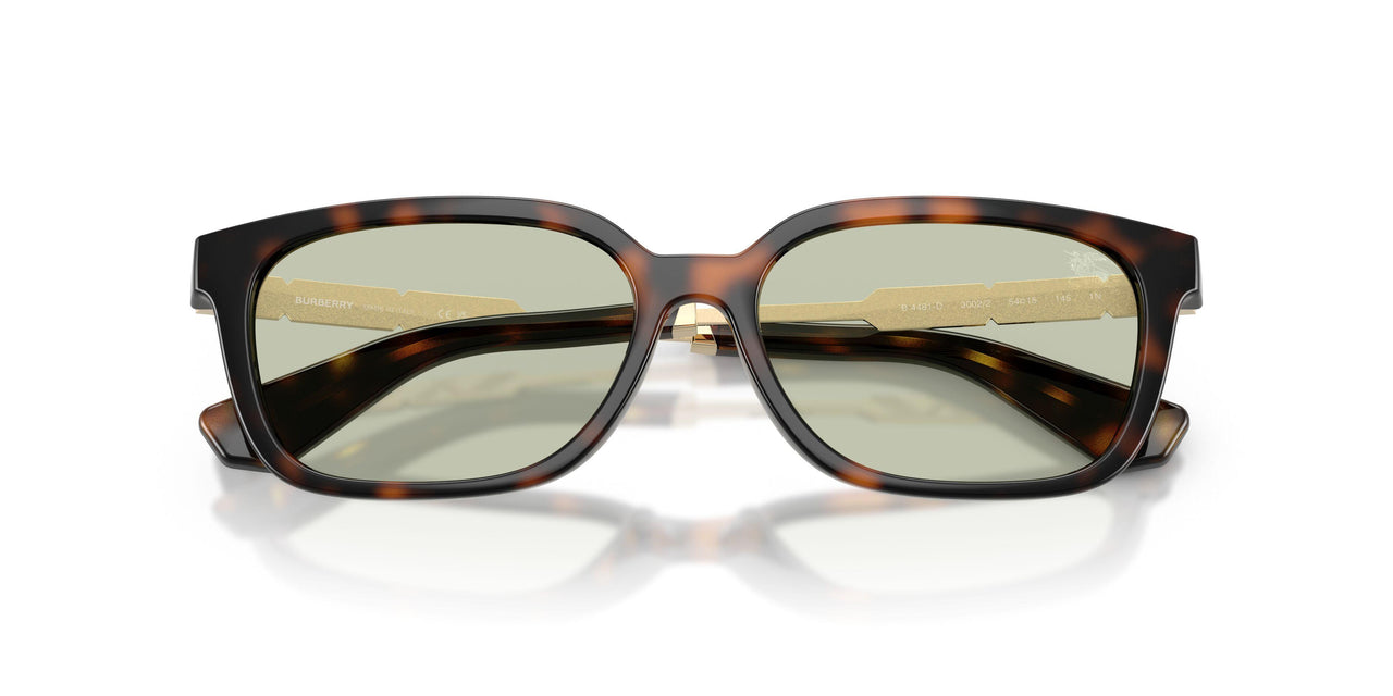 3002/2 - Brown - Light Green