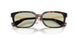 3002/2 - Brown - Light Green