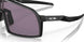 946207 - Black - Prizm Grey