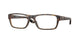 802304 - Tortoise