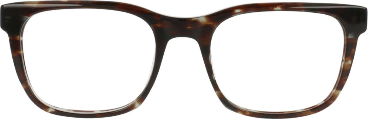 GTO - Grey Tortoise