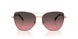 110811 - Pink - Brown Rose Gradient