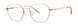 Paradigm Peyton Eyeglasses