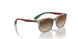 712313 - Light Brown - Brown Gradient