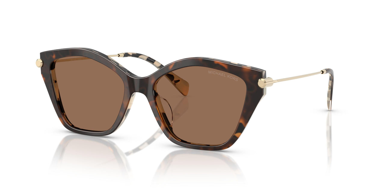 395173 - Tortoise - Brown Solid