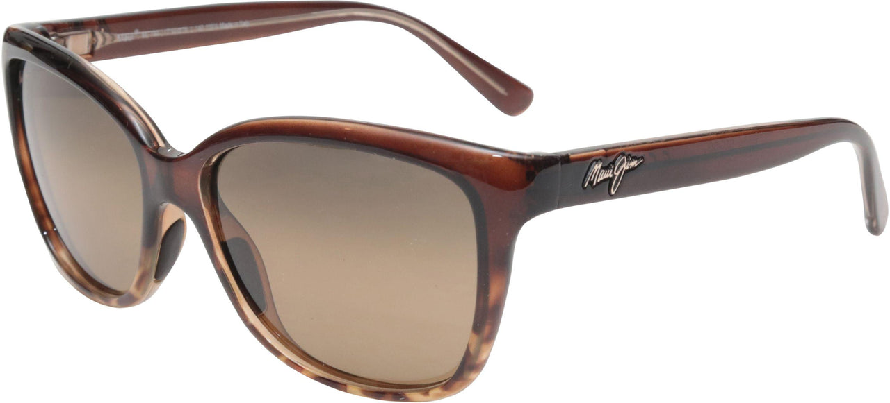 01T - Translucent Chocolate With Tortoise - Hcl Bronze