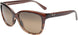 01T - Translucent Chocolate With Tortoise - Hcl Bronze
