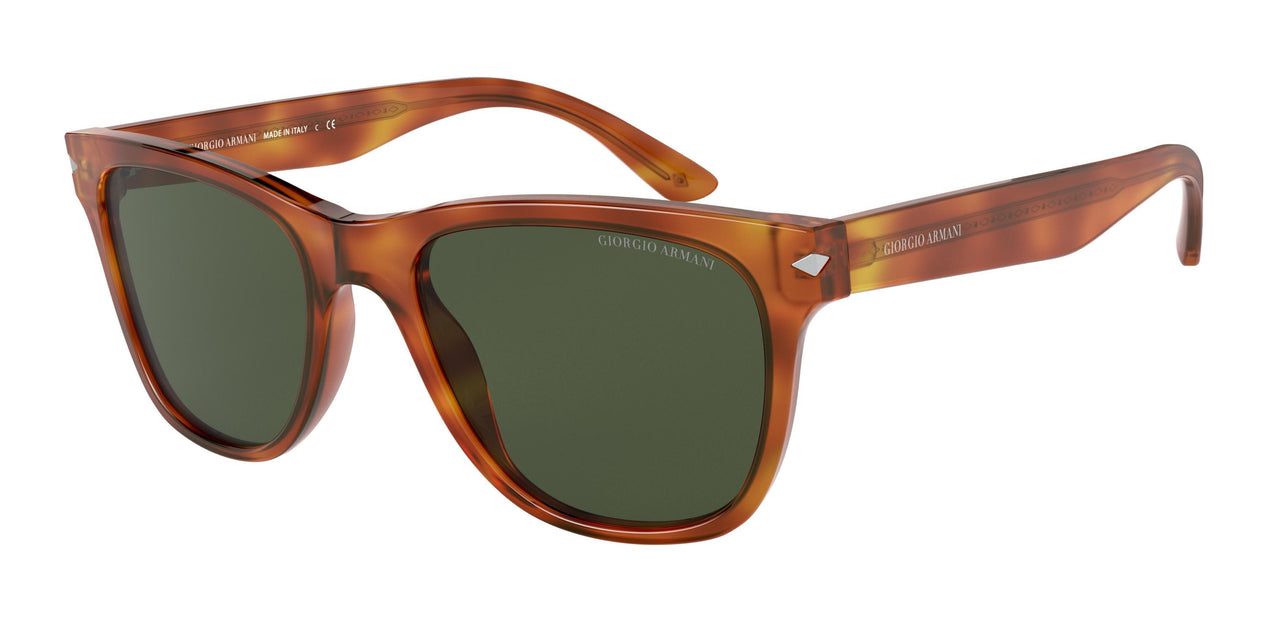 Giorgio Armani 8133 Sunglasses
