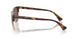 613773 - Tortoise - Brown