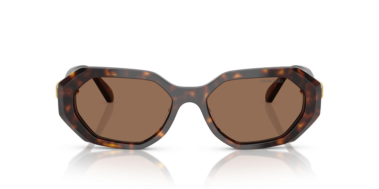 100273 - Brown - Dark Brown