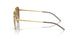 925083 - Gold - Dark Brown Polar