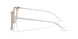8449 - Brown - Clear