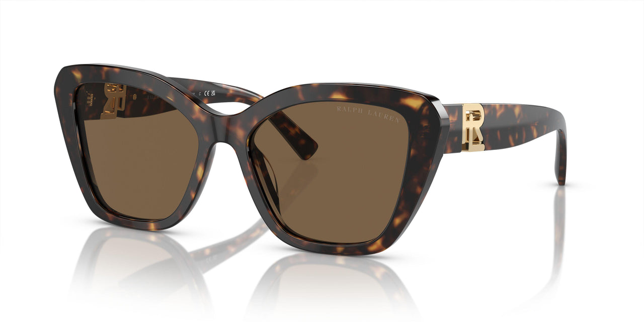 500373 - Tortoise - Brown