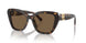 500373 - Tortoise - Brown