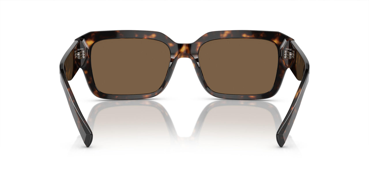 502/73 - Tortoise - Dark Brown