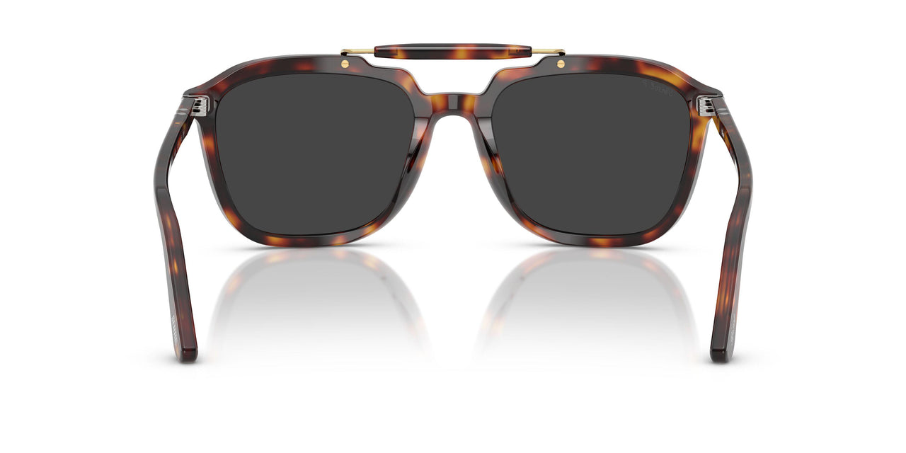 24/48 - Tortoise - Polar Black