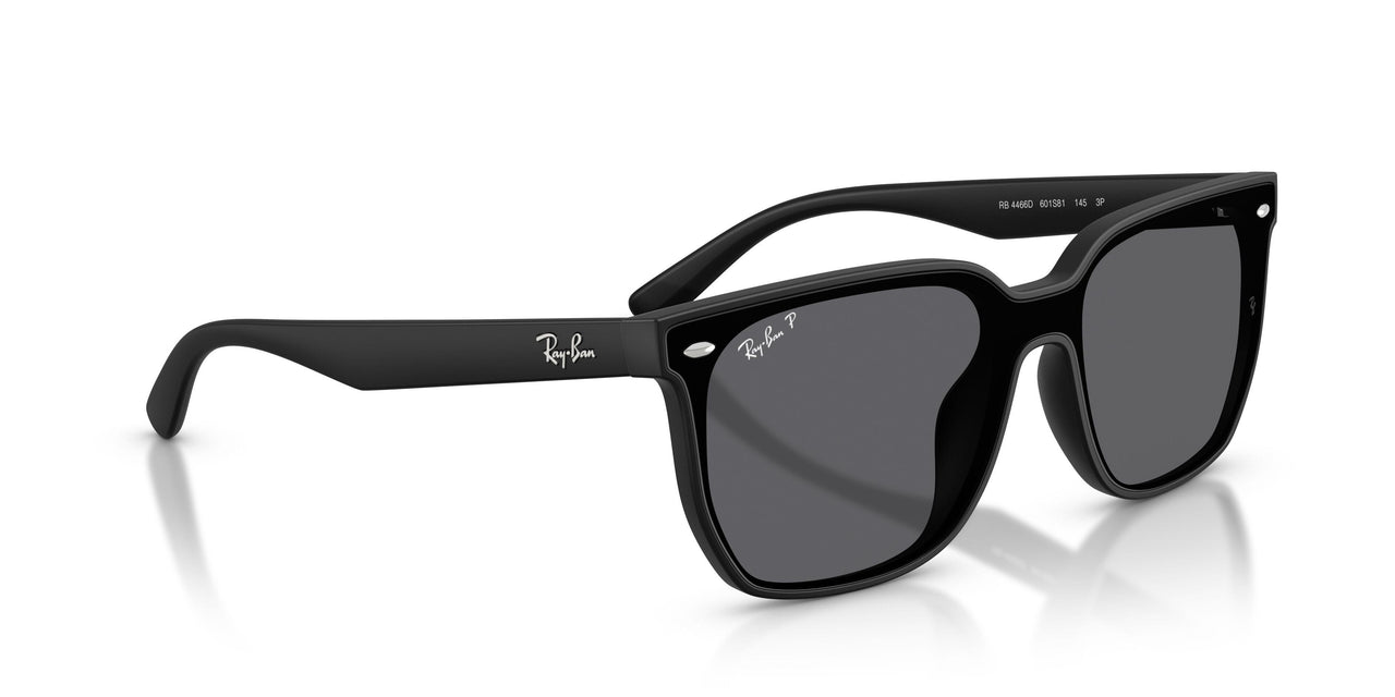 601S81 - Black - Polarized Grey