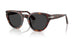 24/48 - Tortoise - Polar Dark Grey