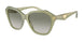 Emporio Armani 4221F Sunglasses