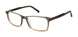 Ted Baker TXL006 Eyeglasses