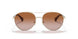 911613 - Gold - Gradient Brown