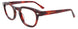 35 - Tortoise Red