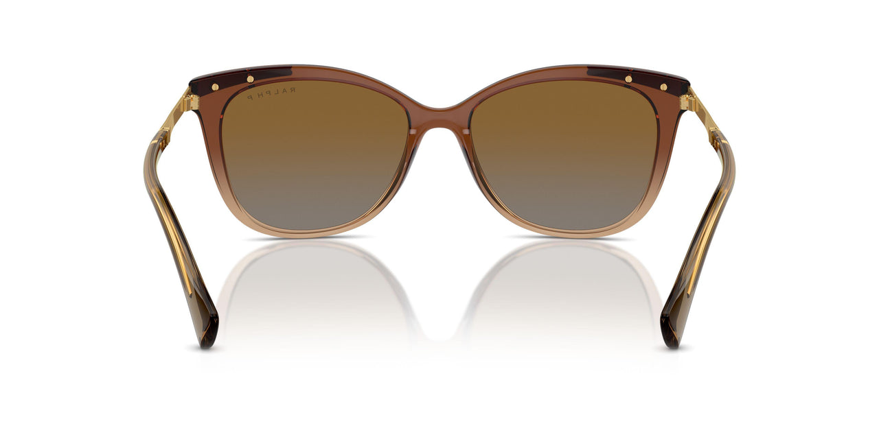 6133T5 - Beige - Polar Gradient Brown