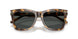 617887 - Brown - Grey