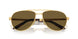 1BK01T - Gold - Dark Brown