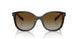 2AU6E1 - Tortoise - Polar Brown Gradient