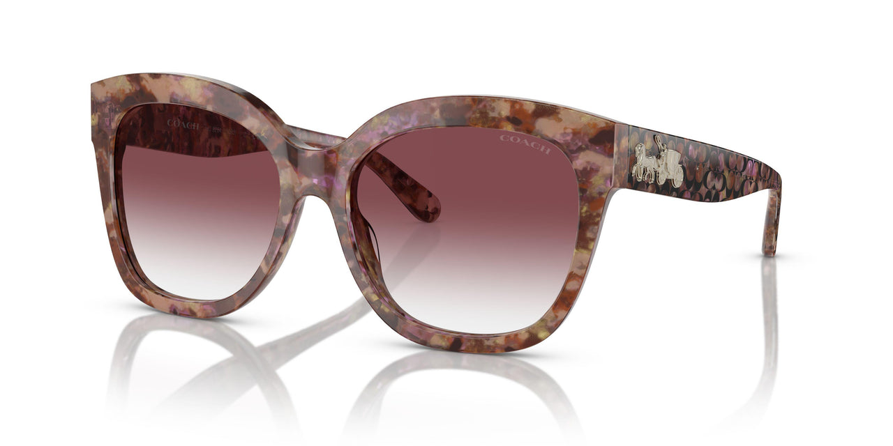 57398H - Tortoise - Purple Clear Gradient