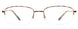 10 - Tortoise Black & Beige / Brushed Steel Brown & Satin Gold