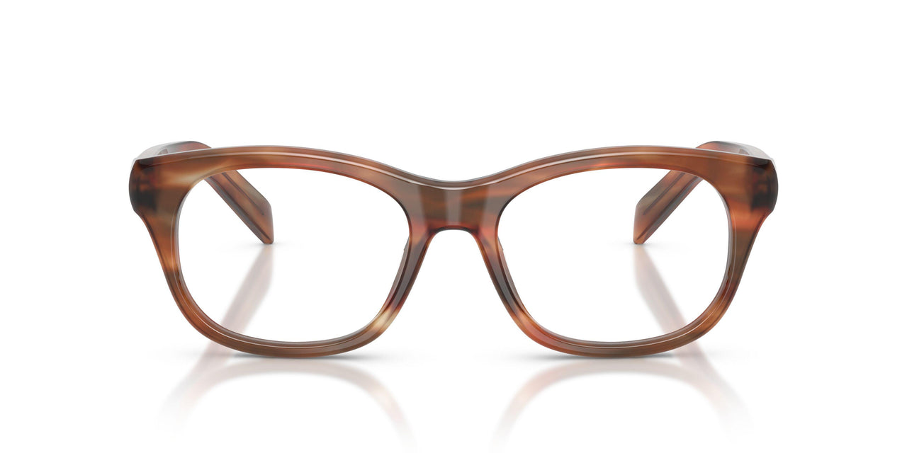 24G1O1 - Brown