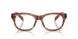 24G1O1 - Brown