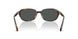 553773 - Tortoise - Dark Brown