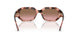 319914 - Pink - Pink Gradient Brown